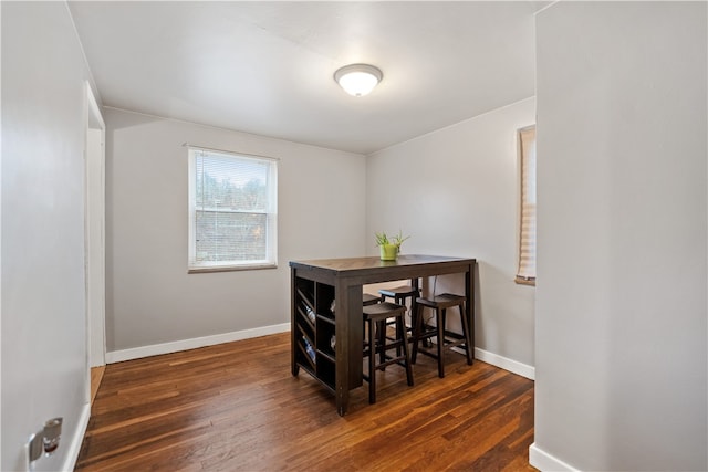 dining room featuring dark wood-type flooring