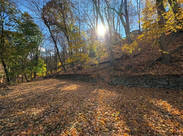 view of nature