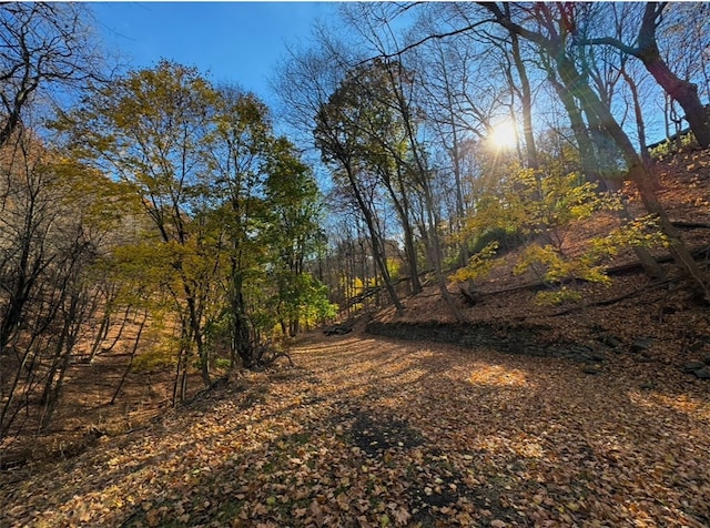 view of landscape