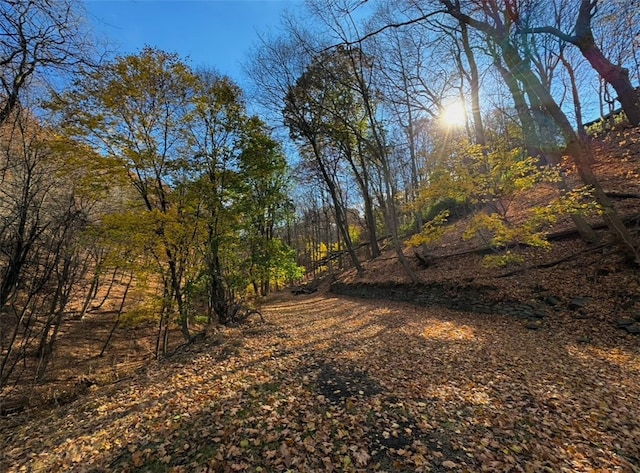 view of nature