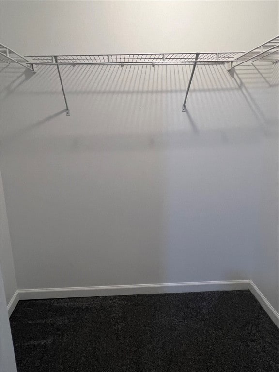 walk in closet featuring carpet flooring