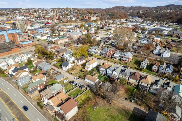 bird's eye view