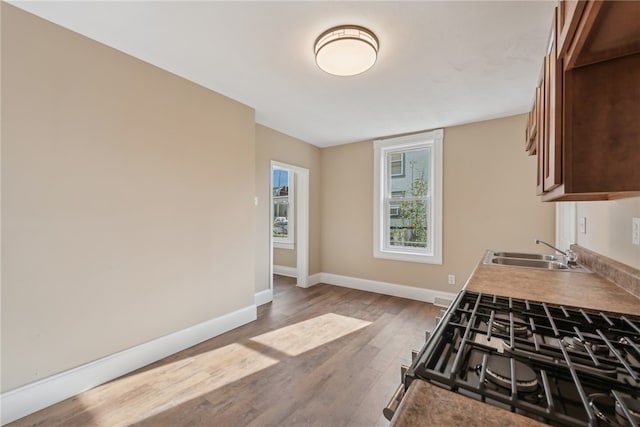 kitchen featuring stainless steel range with gas cooktop, sink, and wood-type flooring