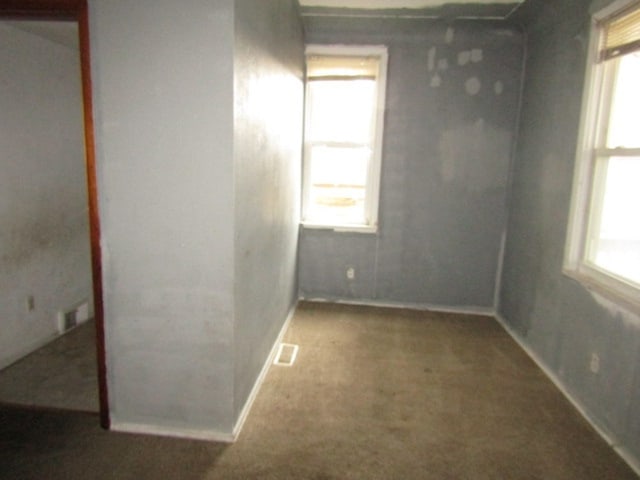 carpeted spare room featuring a wealth of natural light