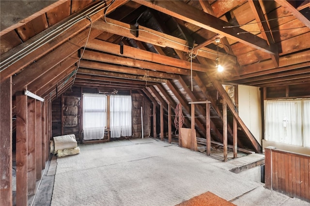 attic featuring plenty of natural light