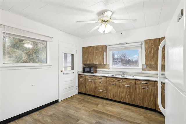 kitchen with ceiling fan, sink, wood-type flooring, and white refrigerator