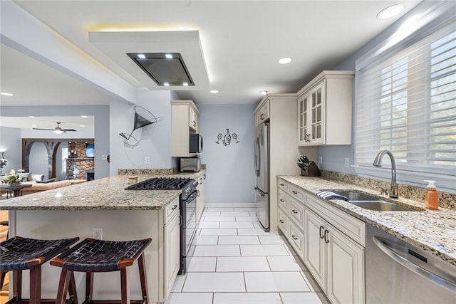 kitchen with light stone countertops, ceiling fan, sink, and stainless steel appliances