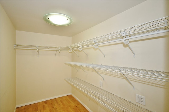 walk in closet with hardwood / wood-style flooring