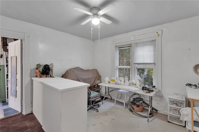 office space featuring ceiling fan and wood-type flooring