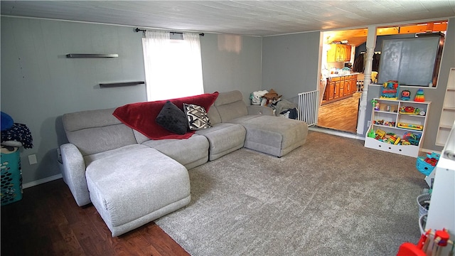 living room featuring dark hardwood / wood-style flooring