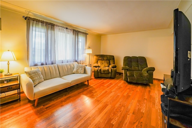 living room with hardwood / wood-style floors