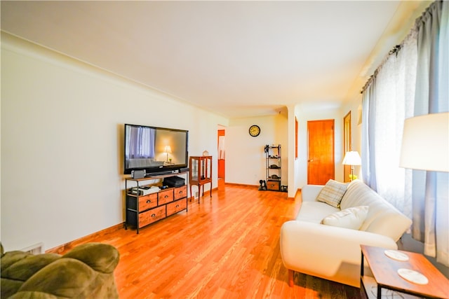 living room featuring wood-type flooring