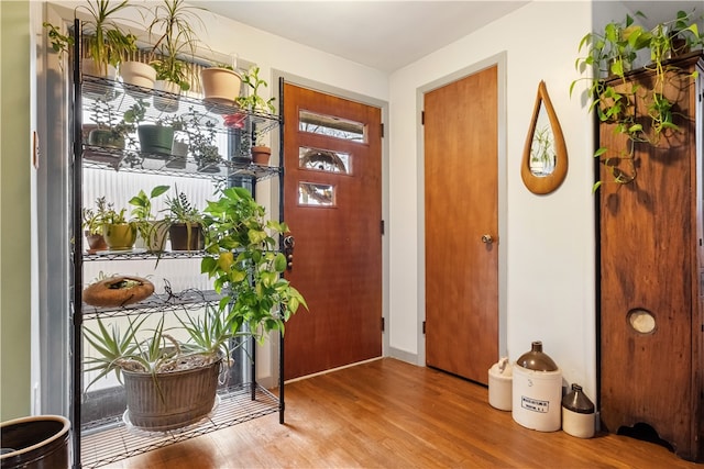 entrance foyer featuring hardwood / wood-style flooring