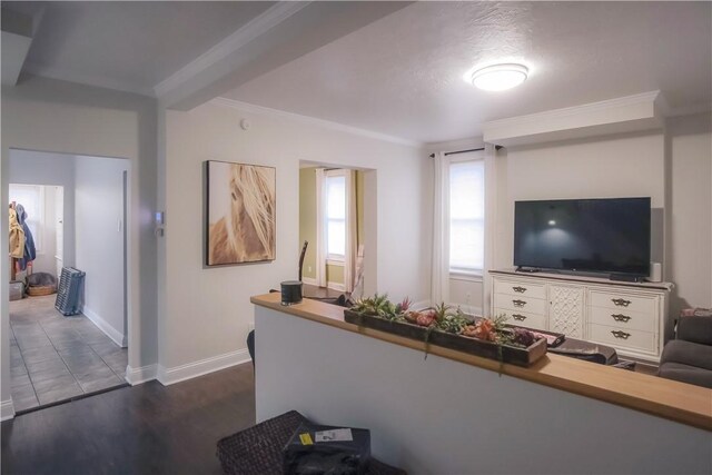 living room with crown molding, dark hardwood / wood-style flooring, and a textured ceiling