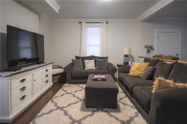 living room featuring dark hardwood / wood-style flooring and ornamental molding