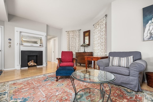 living room with hardwood / wood-style flooring