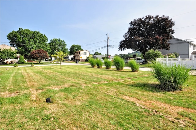 view of yard