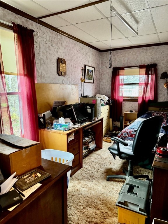 carpeted office featuring a paneled ceiling