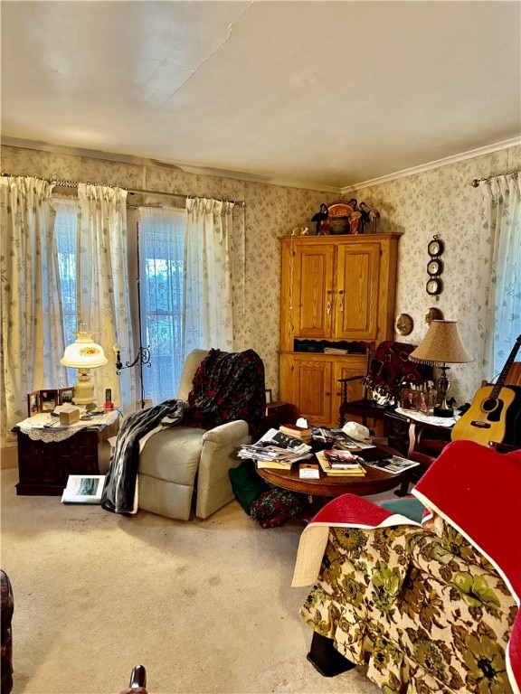 bedroom with carpet floors and ornamental molding