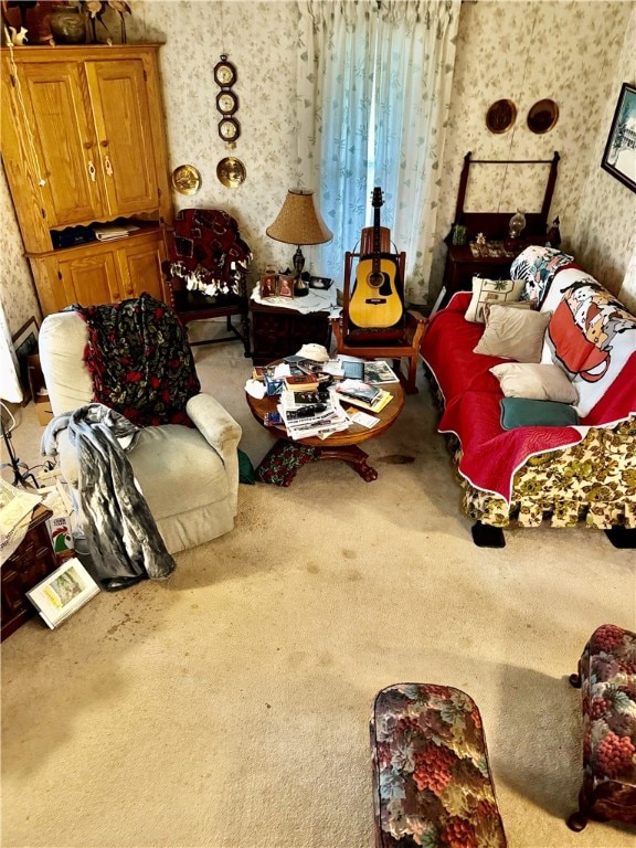 living area featuring carpet floors