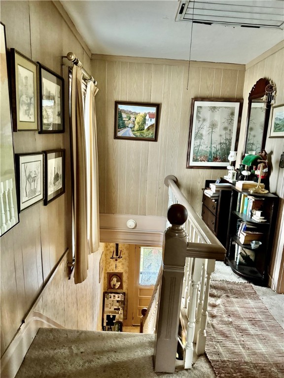 staircase with carpet flooring and wood walls