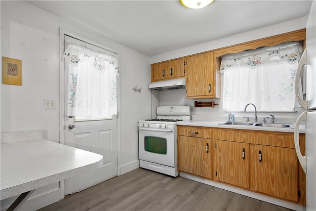 kitchen with plenty of natural light, sink, white appliances, and light wood-type flooring