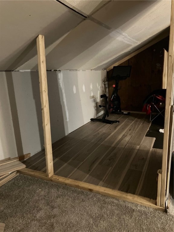 basement featuring wood-type flooring