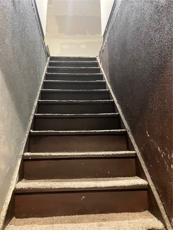 staircase featuring carpet