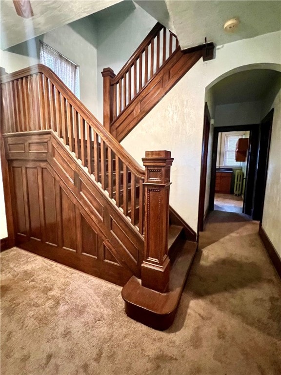 stairway featuring carpet