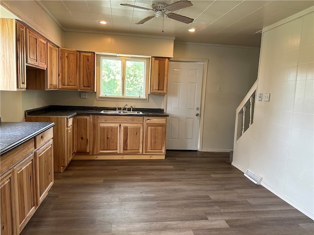 kitchen with dark hardwood / wood-style flooring, ceiling fan, sink, and ornamental molding