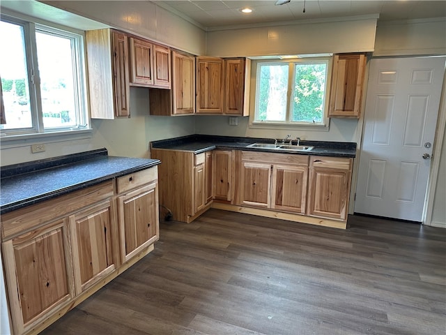 kitchen featuring crown molding, dark hardwood / wood-style flooring, and sink