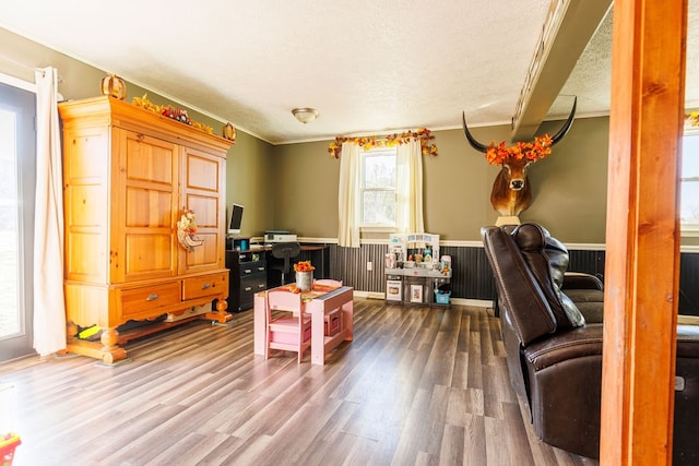 office area featuring hardwood / wood-style flooring, ornamental molding, a textured ceiling, and wooden walls