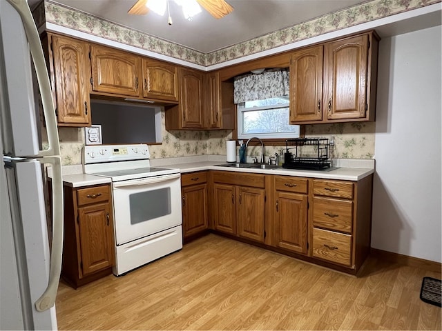 kitchen featuring white appliances, sink, ceiling fan, decorative backsplash, and light hardwood / wood-style floors