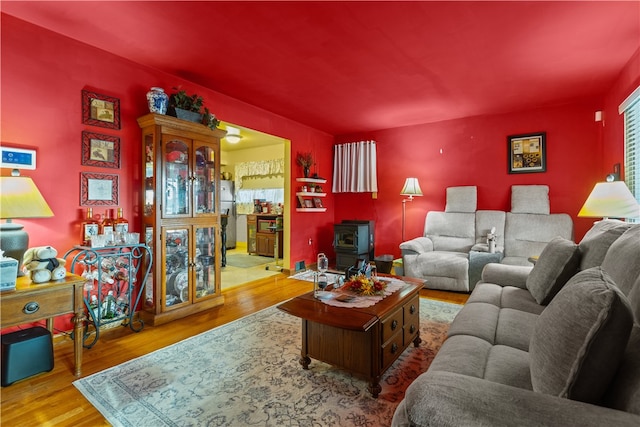 living room featuring hardwood / wood-style flooring and a wood stove