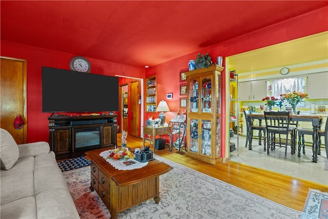 living room featuring a fireplace and hardwood / wood-style floors