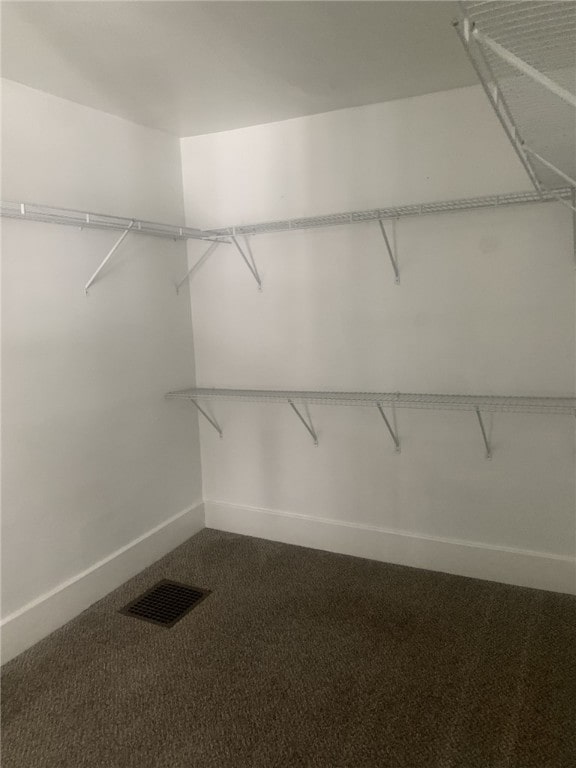 walk in closet with carpet floors