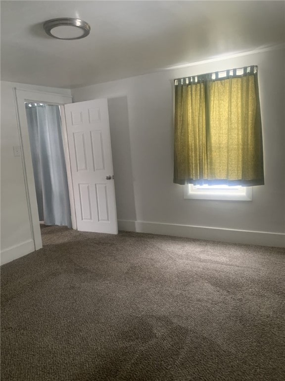 unfurnished room with carpet