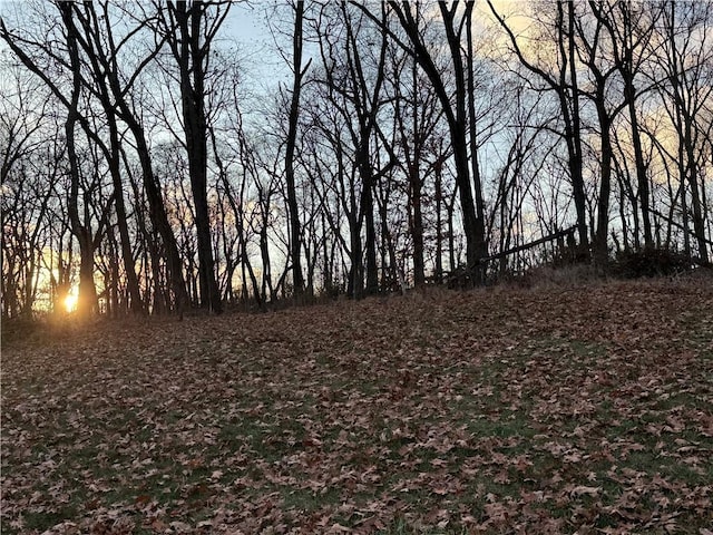 view of nature at dusk