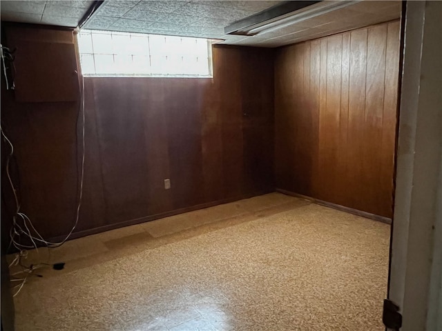 basement with wooden walls