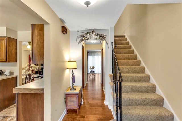 stairway featuring hardwood / wood-style floors and ceiling fan