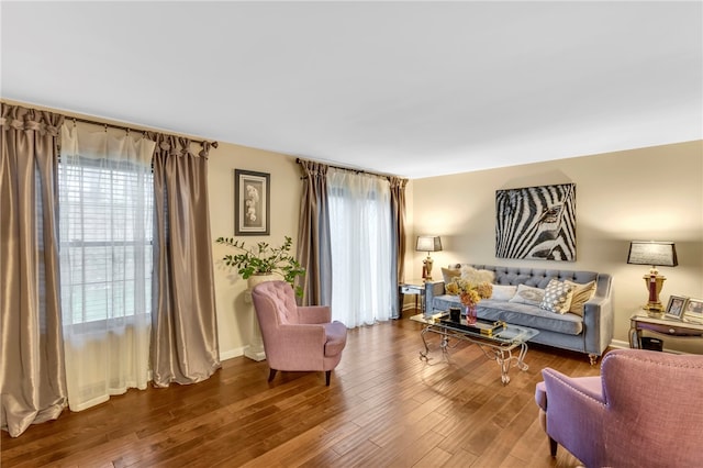 living room with hardwood / wood-style floors