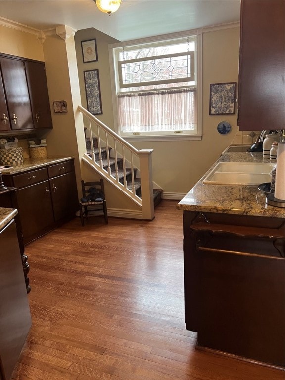 kitchen featuring hardwood / wood-style flooring, sink, dark brown cabinetry, and ornamental molding