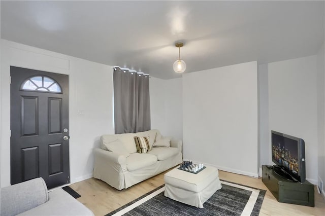 living room with hardwood / wood-style floors