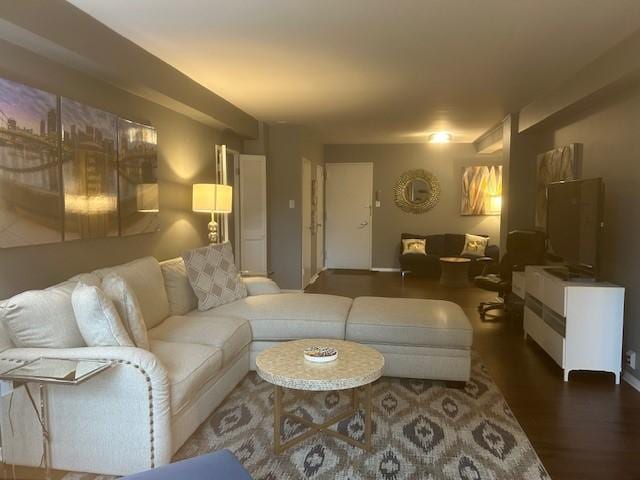 living area featuring dark wood-style flooring