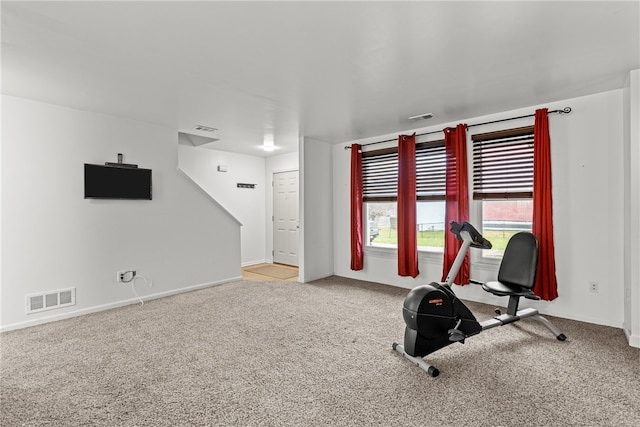 workout area featuring light colored carpet