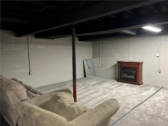 basement featuring carpet