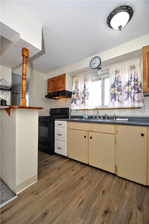 kitchen featuring tasteful backsplash, dark hardwood / wood-style flooring, black stove, and sink