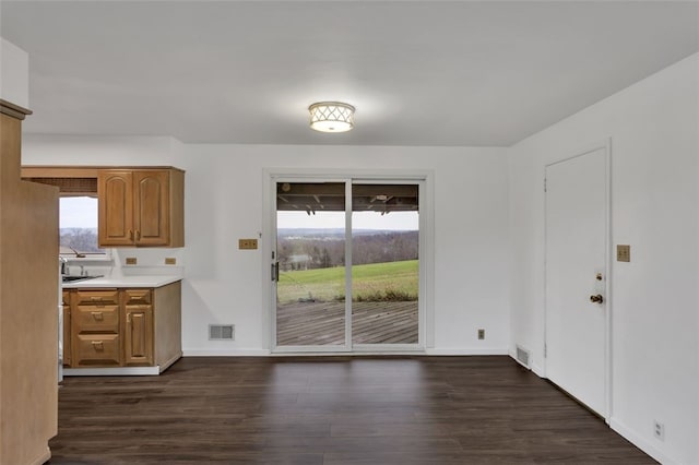 unfurnished dining area with plenty of natural light, dark wood-type flooring, and sink