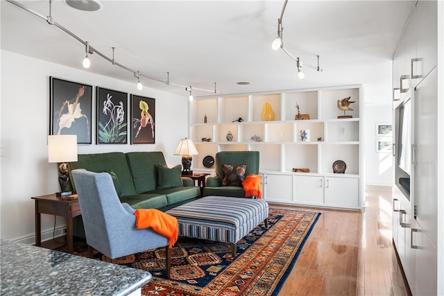 living room featuring light hardwood / wood-style floors