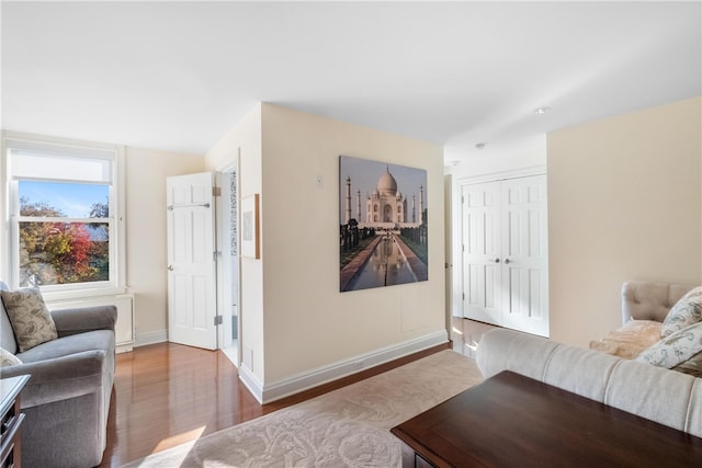 living room featuring hardwood / wood-style floors